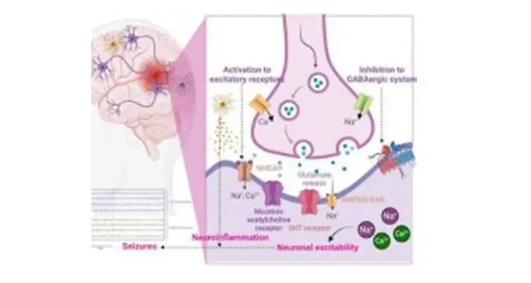The Neuropsychiatry of Epilepsy Bridging Brain Mind
