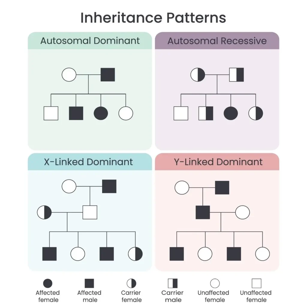 Inheritance pattern